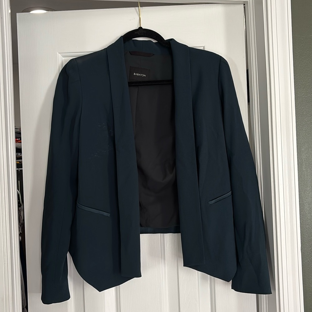 Babaton cropped blazer from Aritzia